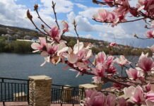 Могилів-Подільський: місто-порт, місто-театр та волонтерська фортеця над Дністром