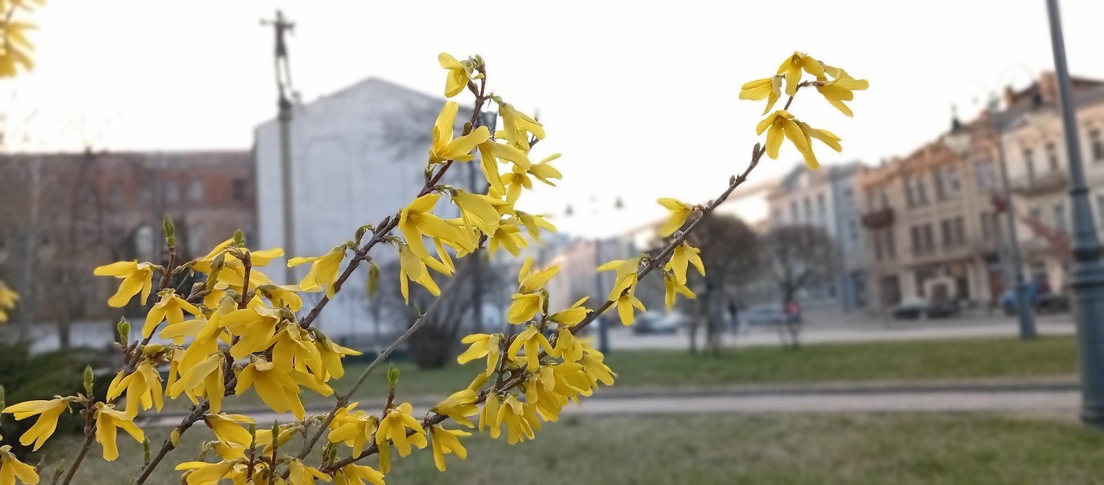 Погода у Вінниці на 25 квітня: хмарність та дрібний дощ