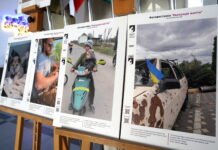 У Вінниці відкрили виставку про евакуацію тварин із зони бойових дій