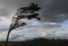 Пориви вітру до 20 м/с: мешканців Вінниччини попереджають про негоду