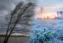 На Вінниччині прогнозують сильний вітер і заморозки: оголошено два рівні небезпечності