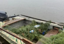 На водоймах Вінниччини облаштовують штучні нерестовища для риби