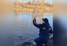 Азарт і рекордні улови: чемпіонат України з лову форелі відбувся на Вінниччині