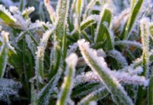 Якою буде погода у Вінниці 10 квітня