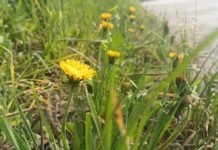 Погода у Вінниці на 24 квітня