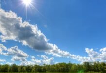У Вінниці 11 травня очікується сонячний і теплий день