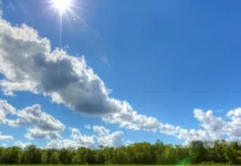 У Вінниці 24 травня буде тепло та без опадів