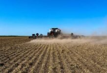 На Вінниччині ярими культурами засіяли понад 440 тисяч гектарів