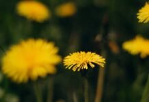 Гороскоп на четвер: день рішень, нових знайомств і несподіваних новин