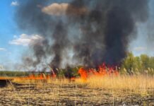 На Вінниччині вогонь охопив майже 14 гектарів екосистем