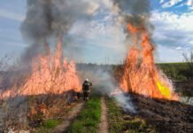 Понад 3 гектари вигоріло через підпали та людську недбалість