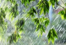 У Вінниці 10 травня прогнозують дощ і похмуру погоду