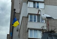 У Вінниці 12 травня ремонтують мережі: де тимчасово не буде води та світла