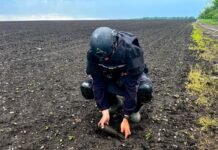 На полі біля Липовця сапери знищили мінометну міну