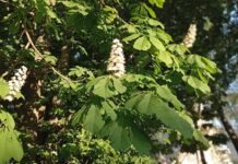 Погода у Вінниці на суботу, 16 травня