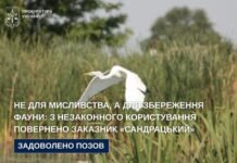 На Вінниччині територію заказника «Сандрацький» повернули державі: суд скасував оренду мисливських угідь