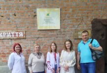 На Вінниччині перевіряють дитячі садки на рівень небезпечного газу радону