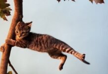 Негода насувається: на Вінниччині очікується сильний вітер