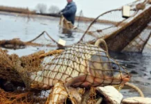 За незаконний вилов риби житель Вінниччини заплатить 11 тисяч гривень