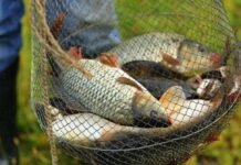 На більшості водоймах Вінниччини знову дозволили риболовлю