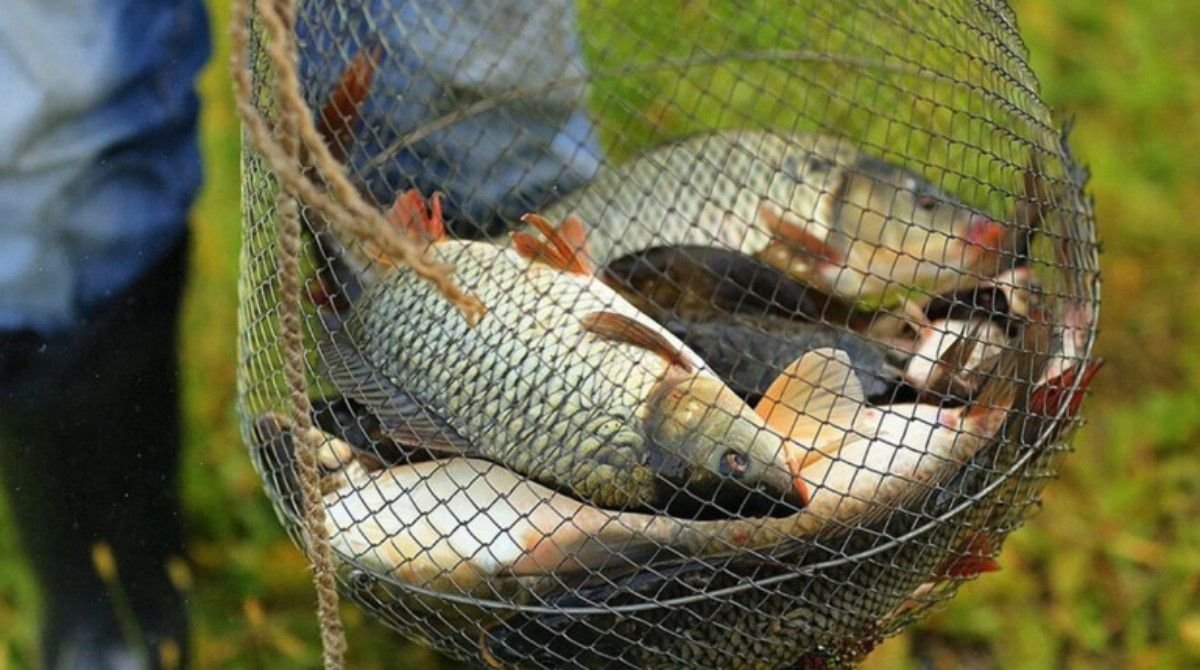 На більшості водоймах Вінниччини знову дозволили риболовлю