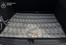 47 гектарів землі за 32 тисячі доларів: на Вінниччині викрили депутата міськради