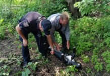 На Вінниччині розкрили вбивство пенсіонерки, інсценоване під нещасний випадок