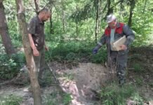 На Вінниччині провели облік диких тварин та розпочали вакцинацію від сказу