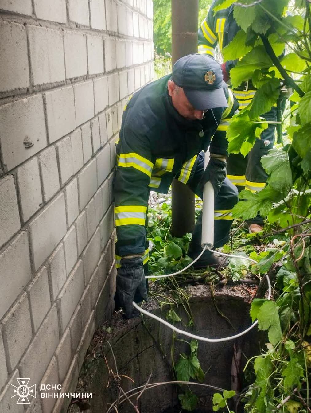 Чотирьох вусолапих врятували надзвичайники на Вінниччині
