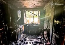 Пожежа в житловому будинку та ще сім займань на Вінниччині: де працювали рятувальники