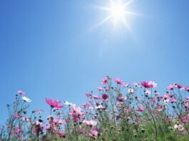 Прогноз погоди у Вінниці на 30 червня