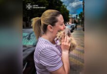 У Вінниці рятувальники витягли кошеня з моторного відсіку автомобіля