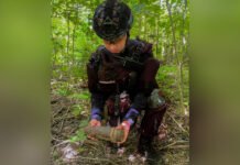 Поблизу Вороновиці в лісі виявили артилерійський снаряд