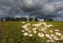 Якою буде погода у Вінниці 24 червня