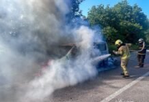 У двох селах Вінниччини горіли автомобілі: причини встановлюють