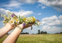 До +30°C та можливий дощ: якою буде погода у Вінниці 27 липня