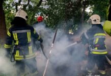 Через дитячі пустощі на Вінниччині згорів піднавіс із сіном