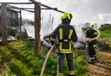 За добу на Вінниччині ліквідували п’ять пожеж