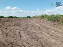 На Вінниччині ліквідували стихійне сміттєзвалище після звернення громадян