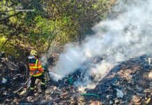 За добу на Вінниччині сталося 12 пожеж: вогонь охопив понад три гектари екосистем