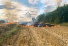 Шість пожеж за добу на Вінниччині: евакуація у багатоповерхівці обласного центру та займання на відкритих територіях