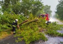 Потужні пориви вітру наробили біди на Вінниччині: наслідки ліквідовували надзвичайники