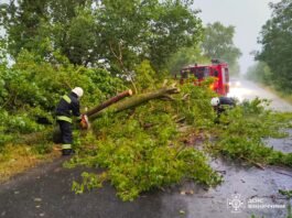 Потужні пориви вітру наробили біди на Вінниччині: наслідки ліквідовували надзвичайники