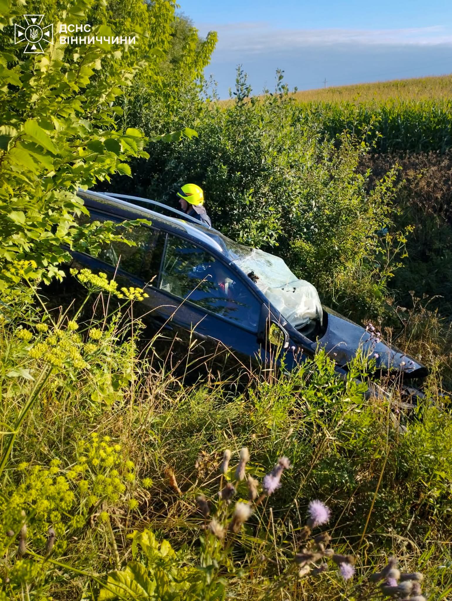 Жахлива аварія на Немирівщині: загинули 19-річний водій та двоє людей