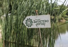 У Вінницькій громаді відбудеться ІІІ етновікенд «Заплетемо рогозу»