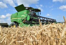 95000 гектарів та 200 комбайнів: МХП розпочинає жнива 2026