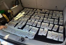 За $33 тисячі обіцяв допомогти уникнути мобілізації: на Вінниччині затримали 29-річного чоловіка