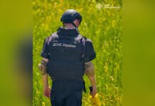 Поблизу приватного будинку в Оратівській громаді виявили небезпечний боєприпас