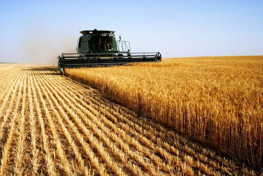 На Вінниччині стартували жнива: аграрії вже збирають перший урожай та б’ють...