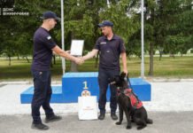 Вінницькі собаки-рятувальники стали призерами всеукраїнської атестації